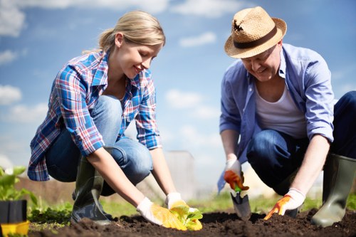 Neasden professional lawn mowing service