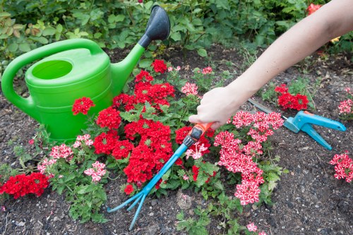 Gardener reviewing a maintenance checklist in a Neasden garden