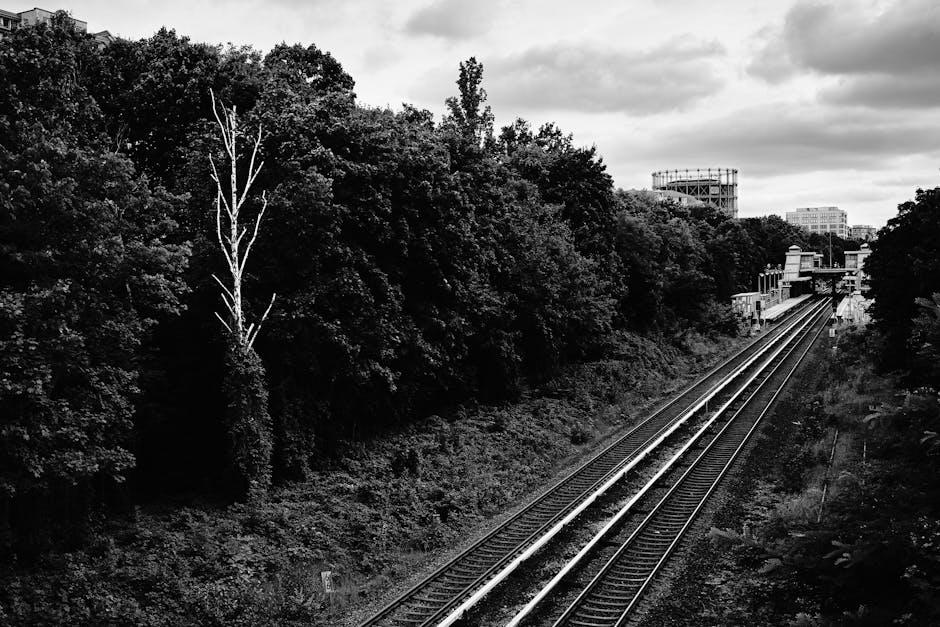 A black and white photograph of a railway line running through a densely wooded area, with lush trees on either side of the tracks. The trees have a variety of foliage, with some showing detailed leav